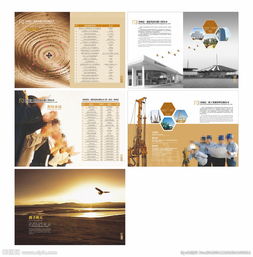 軟件開(kāi)發(fā)公司的畫冊(cè)圖片策劃 視覺(jué)敘事與品牌塑造